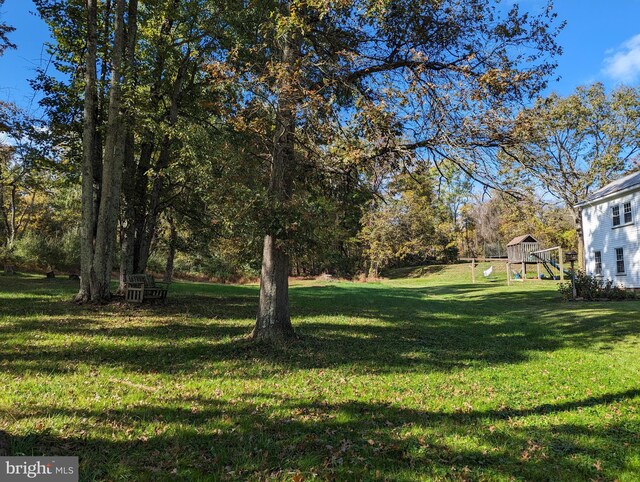 view of yard with a playground