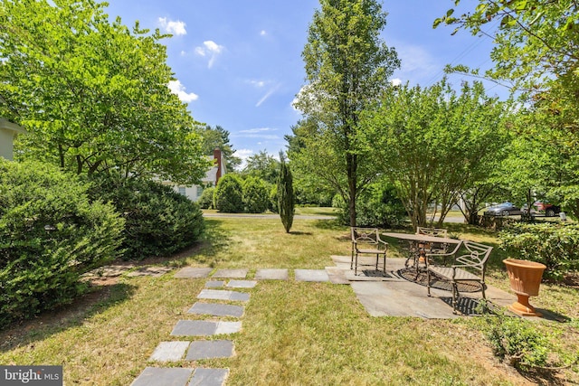 view of yard with a patio