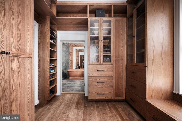 spacious closet featuring dark wood-type flooring