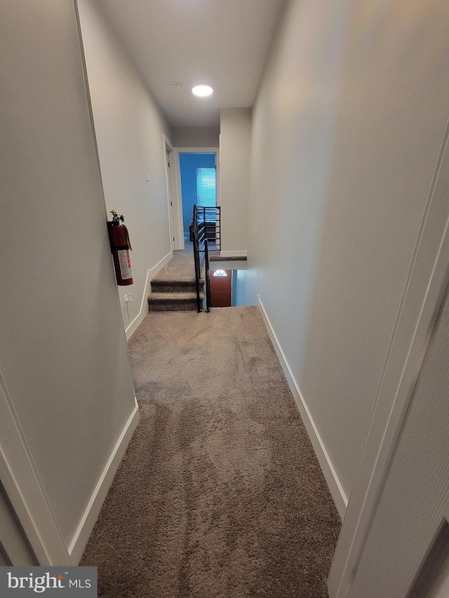 hallway with carpet floors