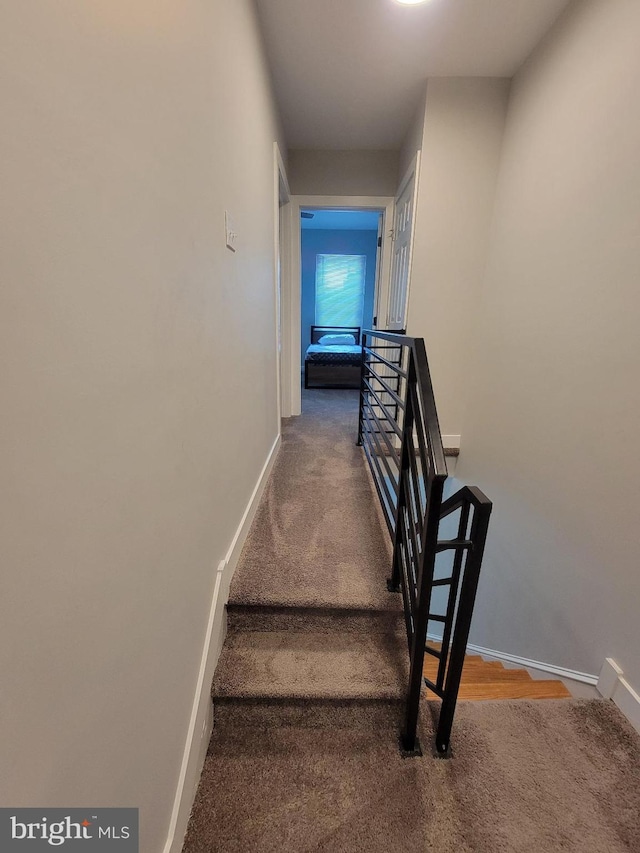 stairs with carpet flooring