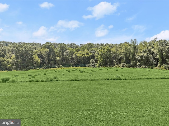 view of nature with a rural view