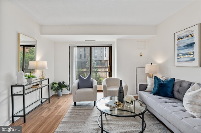 living room with hardwood / wood-style floors and plenty of natural light