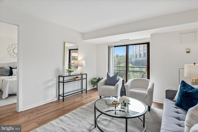 living room with hardwood / wood-style floors