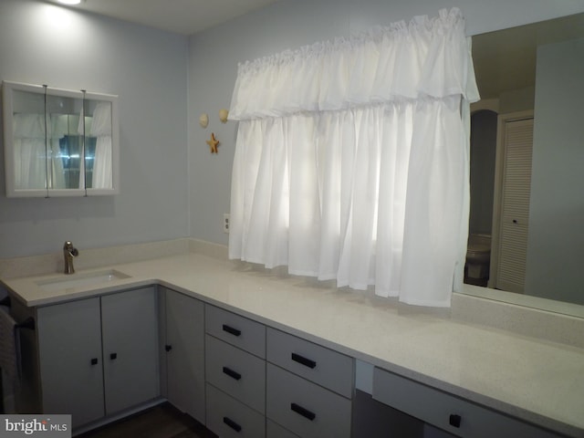 bathroom with vanity and toilet