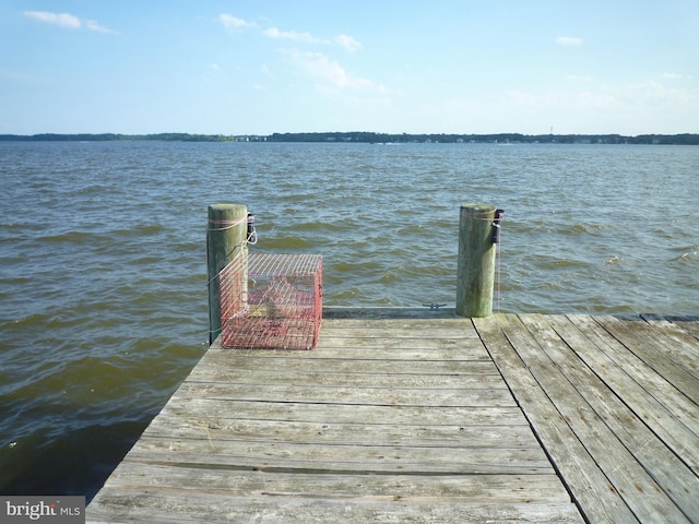 dock area featuring a water view