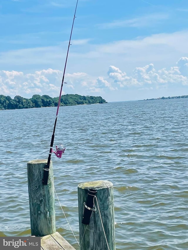 view of dock with a water view