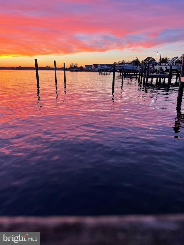 property view of water with a dock