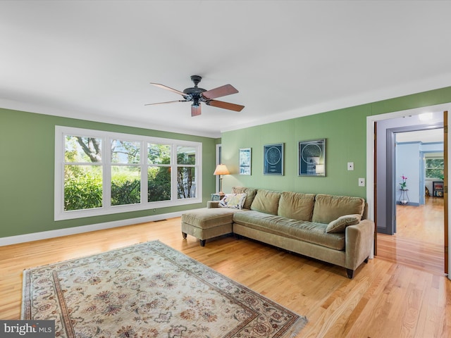 living room featuring light wood-type flooring, ceiling fan, and crown molding