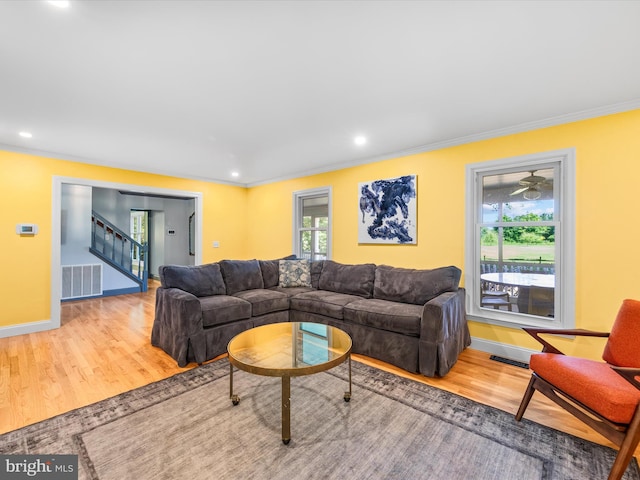 living room featuring hardwood / wood-style floors, a healthy amount of sunlight, and crown molding