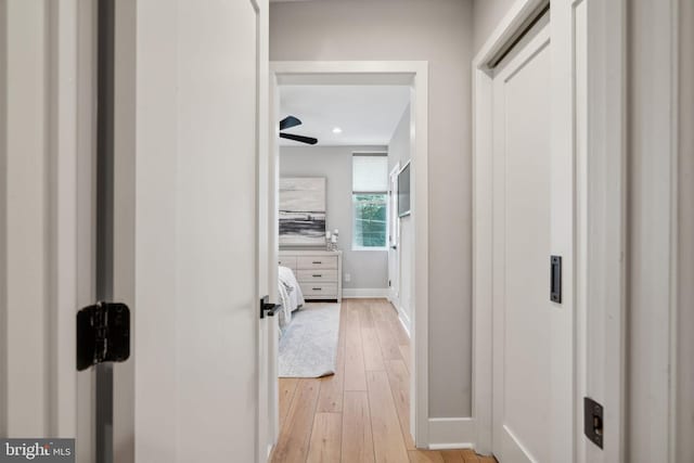 hall with light hardwood / wood-style flooring