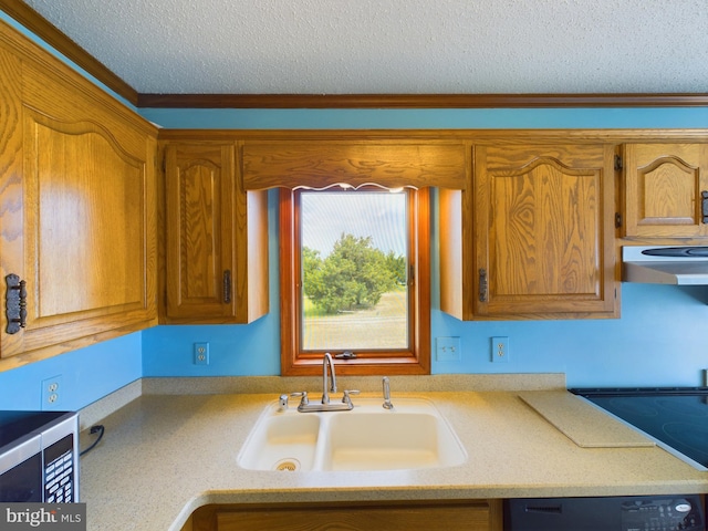 kitchen featuring sink, crown molding, a textured ceiling, dishwasher, and range hood