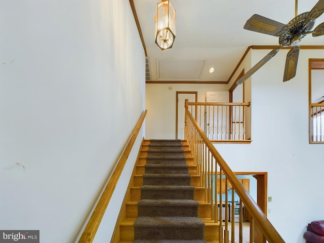 staircase with ceiling fan and ornamental molding