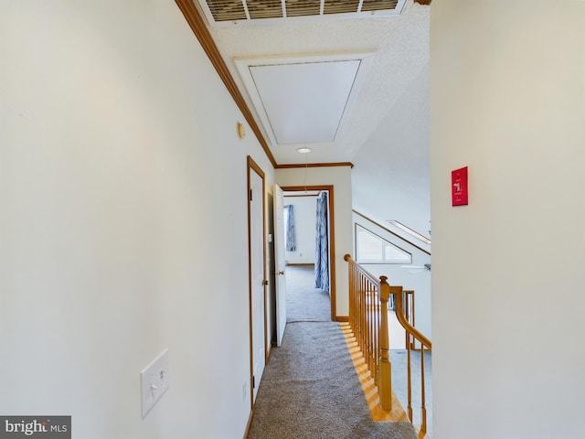 corridor with carpet floors and ornamental molding