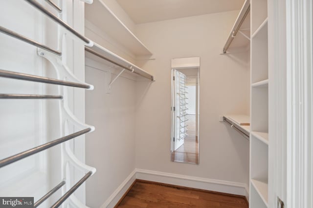 spacious closet with dark hardwood / wood-style flooring