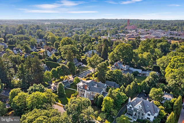 bird's eye view