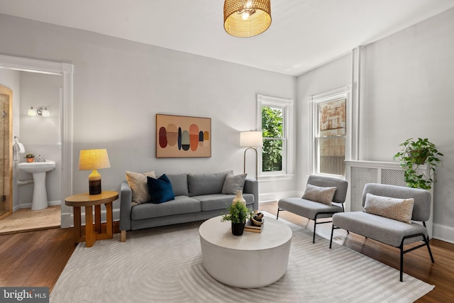 living room with wood-type flooring and sink