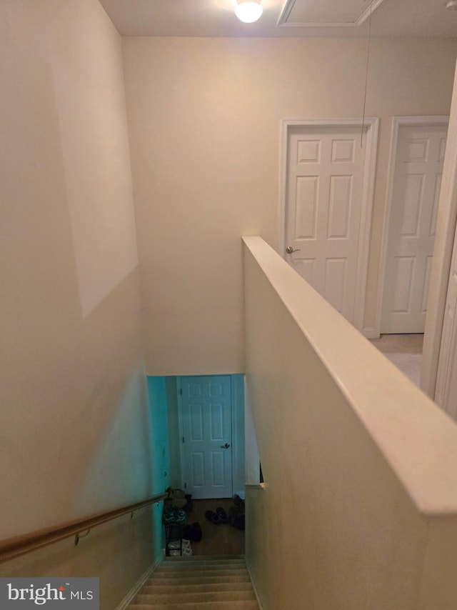 1117 B St, Wilmington, DE 19801 - stairway with attic access
