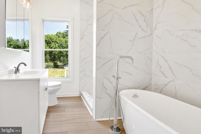 full bathroom featuring vanity, toilet, plenty of natural light, and independent shower and bath