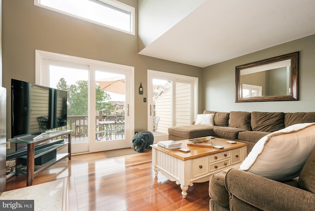 living room featuring light hardwood / wood-style floors