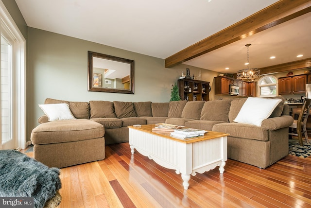 living room featuring a notable chandelier, beam ceiling, a healthy amount of sunlight, and light hardwood / wood-style flooring