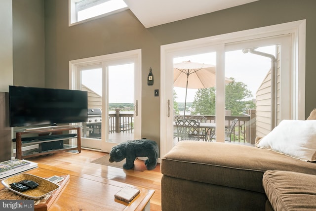 living room with wood-type flooring