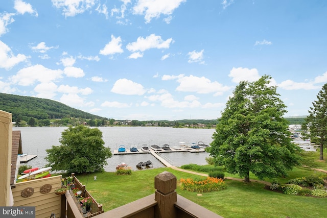 water view featuring a dock