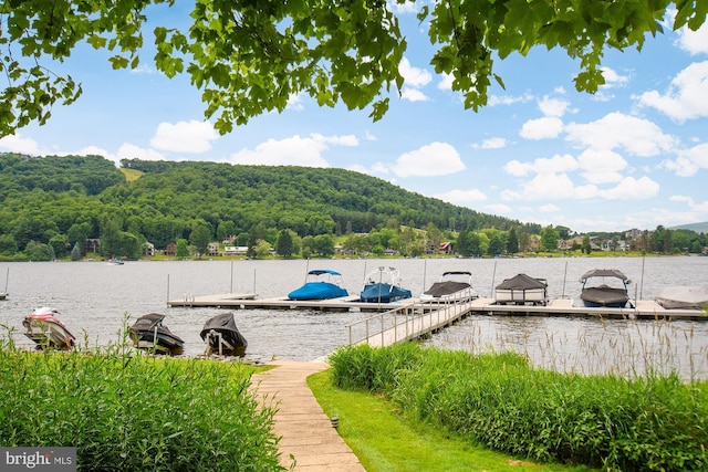 dock area featuring a water view