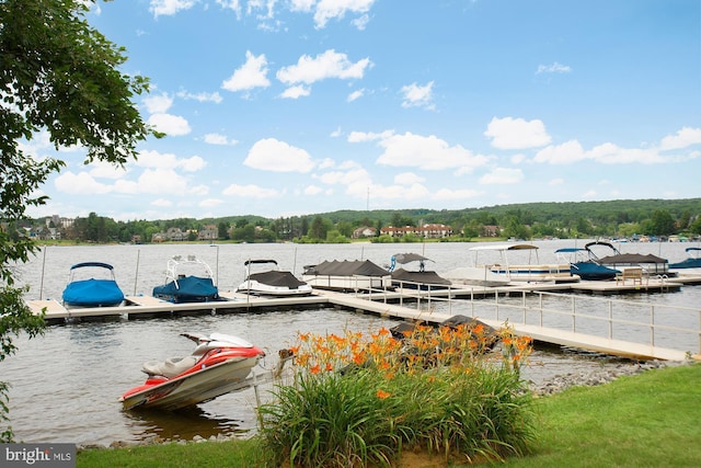 dock area featuring a water view