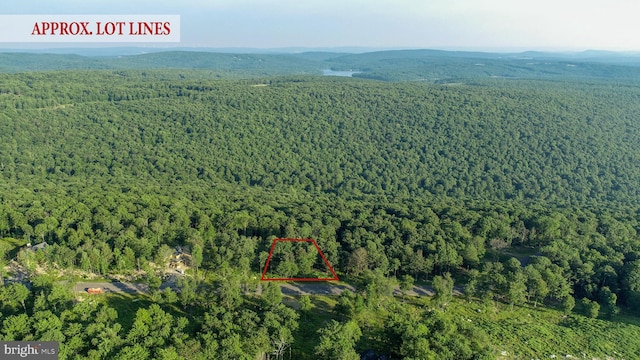 LOT158 Fork Run Trl, Mc Henry MD, 21541 land for sale