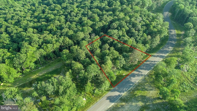 Listing photo 3 for LOT158 Fork Run Trl, Mc Henry MD 21541