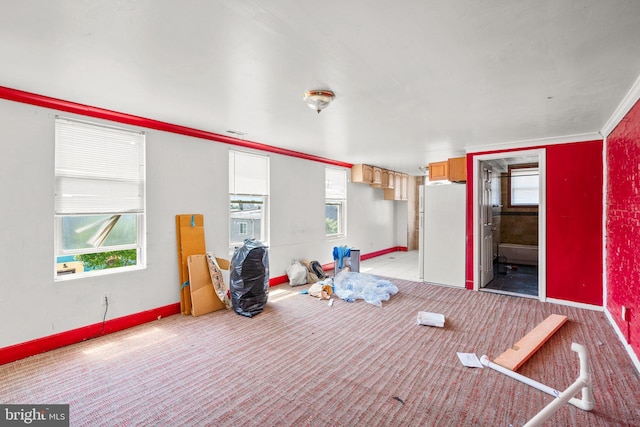 miscellaneous room with plenty of natural light and ornamental molding