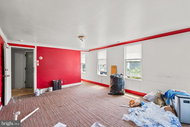 interior space featuring carpet and ornamental molding