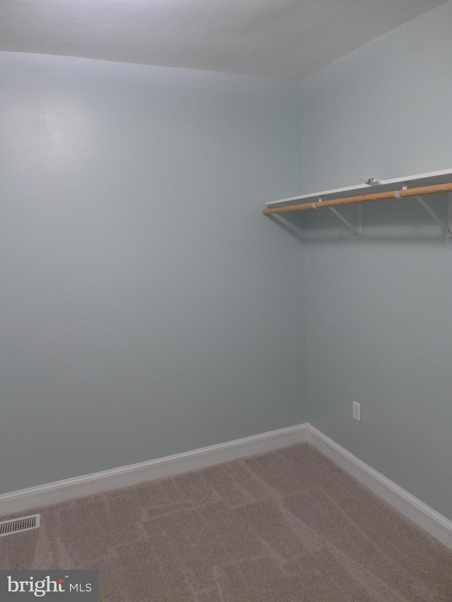 walk in closet featuring carpet flooring