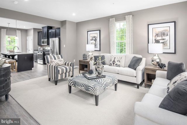 living room featuring light hardwood / wood-style flooring and sink