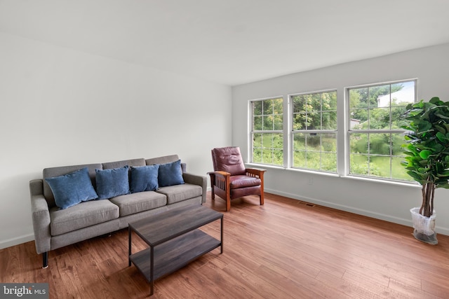 living room with light wood-type flooring