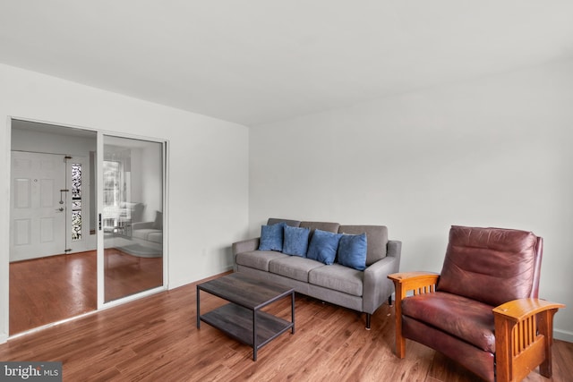 living room featuring hardwood / wood-style flooring