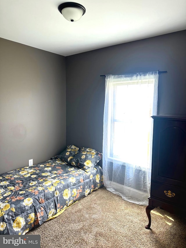 bedroom featuring carpet floors