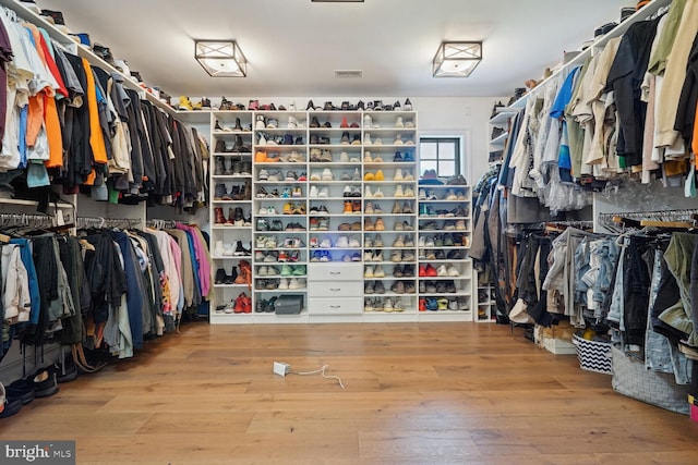 walk in closet with wood-type flooring