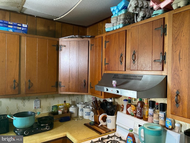 kitchen featuring exhaust hood and range