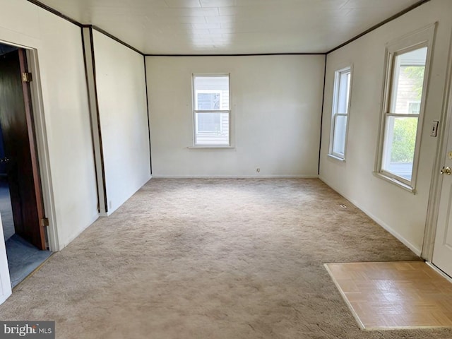 carpeted spare room featuring ornamental molding