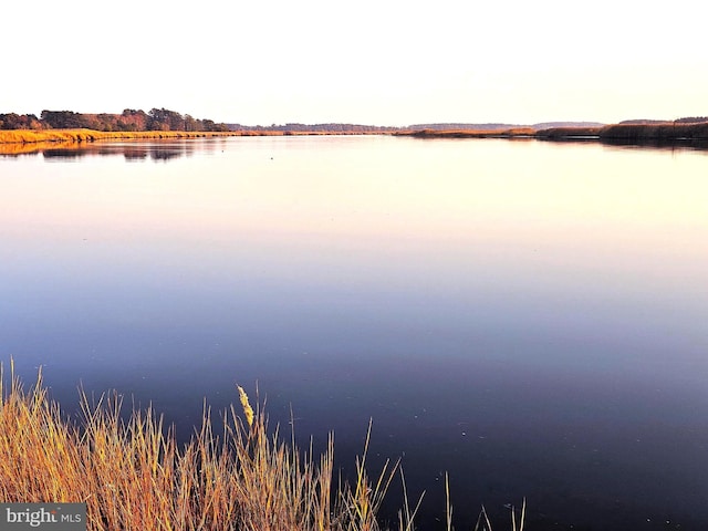 252 Hickory Point Rd, Pocomoke City, MD 21851 - water view