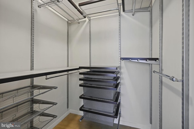 spacious closet featuring dark wood-type flooring