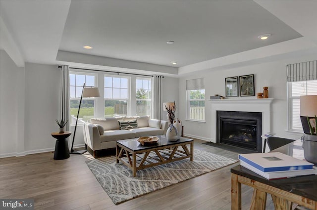 living room with a tray ceiling and hardwood / wood-style flooring