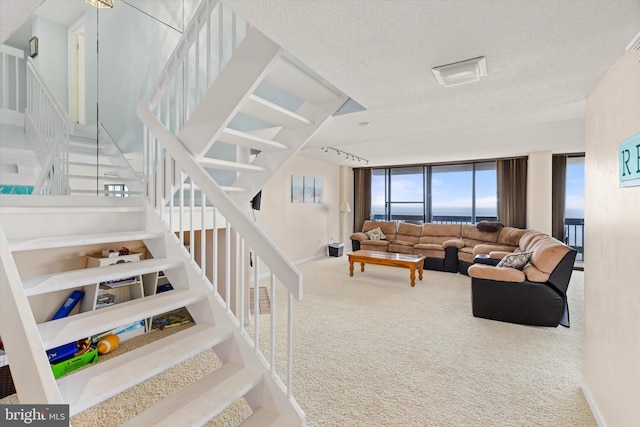 living room with carpet, a textured ceiling, and rail lighting