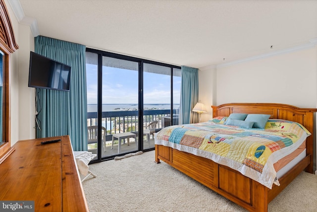 bedroom with access to outside, crown molding, and light colored carpet