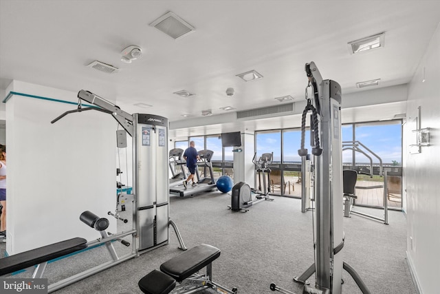 workout area with light carpet and a wealth of natural light