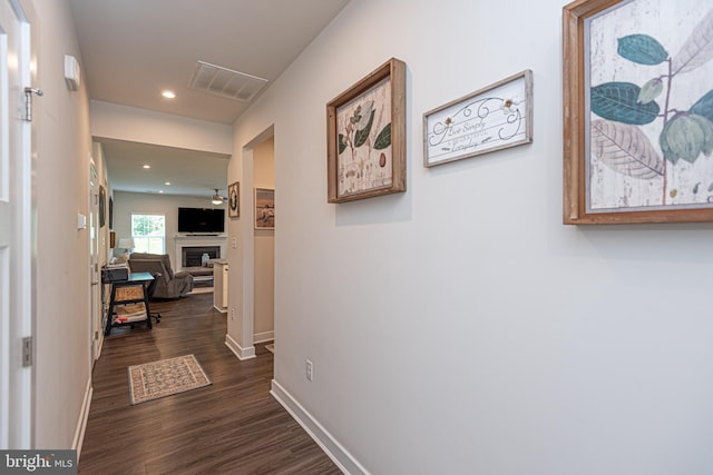 hall featuring dark hardwood / wood-style floors