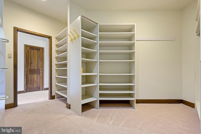 walk in closet with light colored carpet