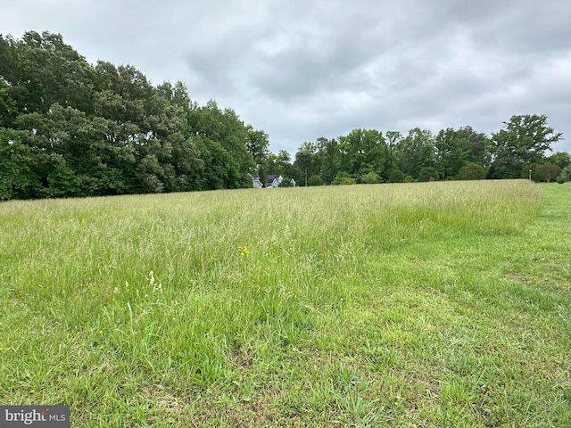 Listing photo 3 for LOT3 Potomac Dr, Heathsville VA 22473